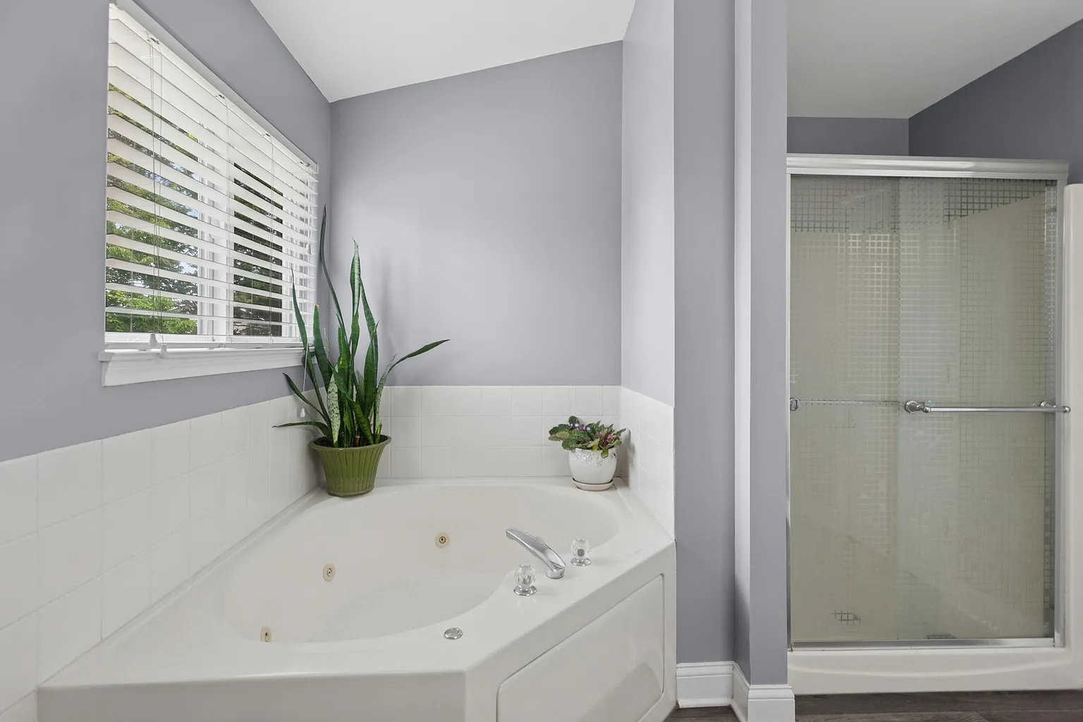 Modern bathroom with corner bathtub, glass shower, gray walls, and window plant.